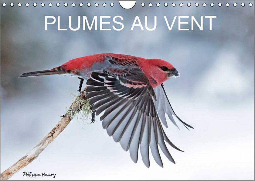plume-au-vent-philippe-henry
