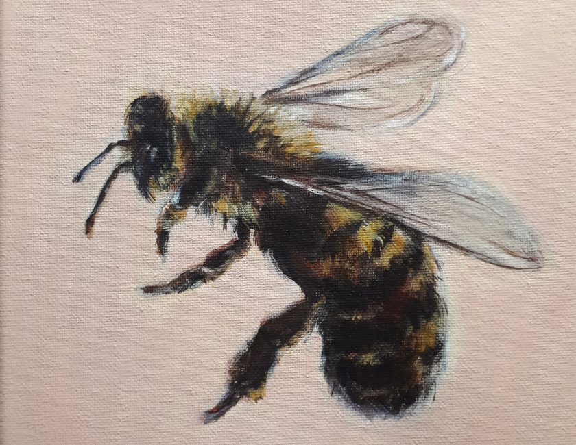 abeille-evelyne-boutet