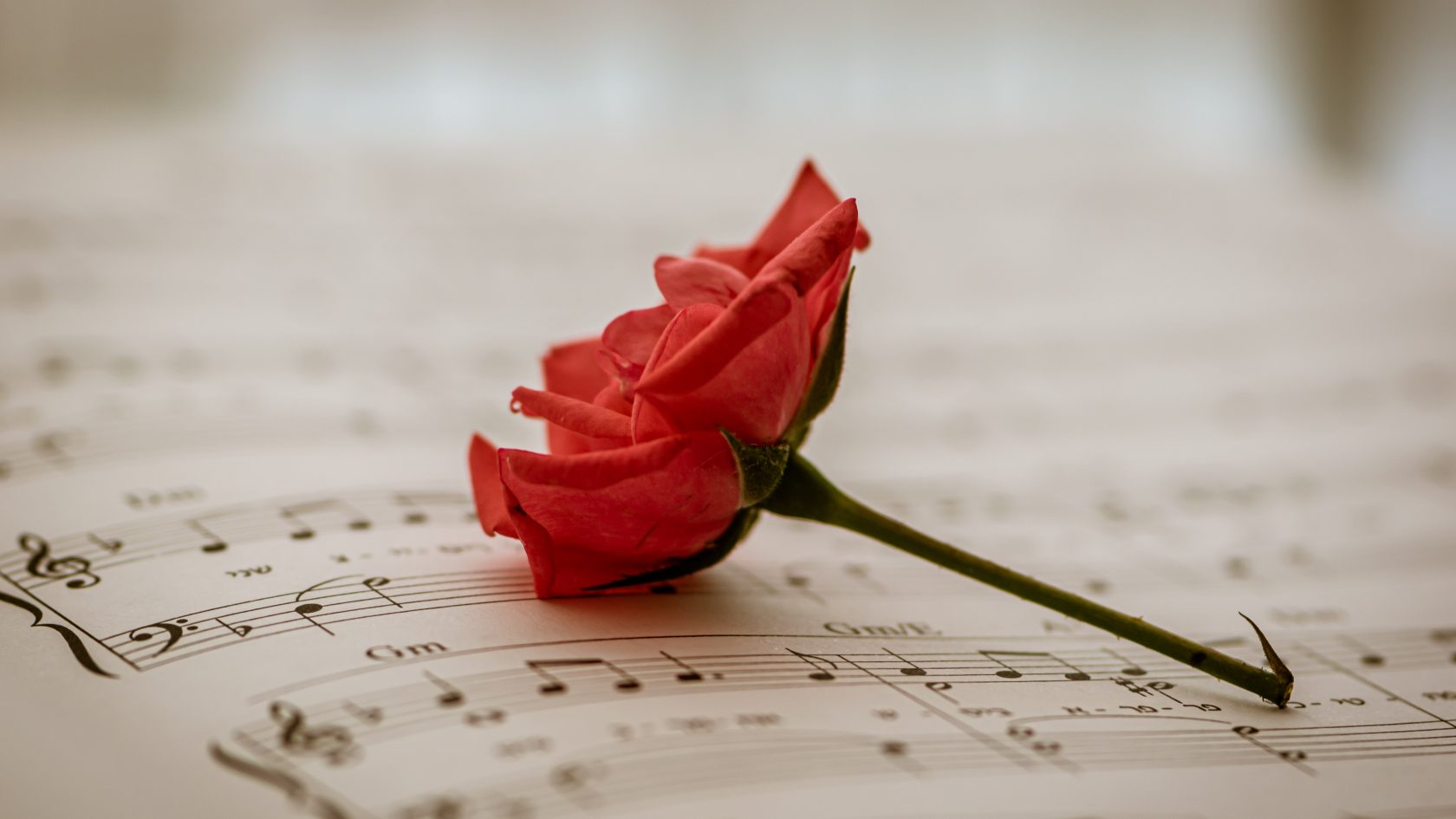 valentins chantants valerie poisson actualites dici scaled