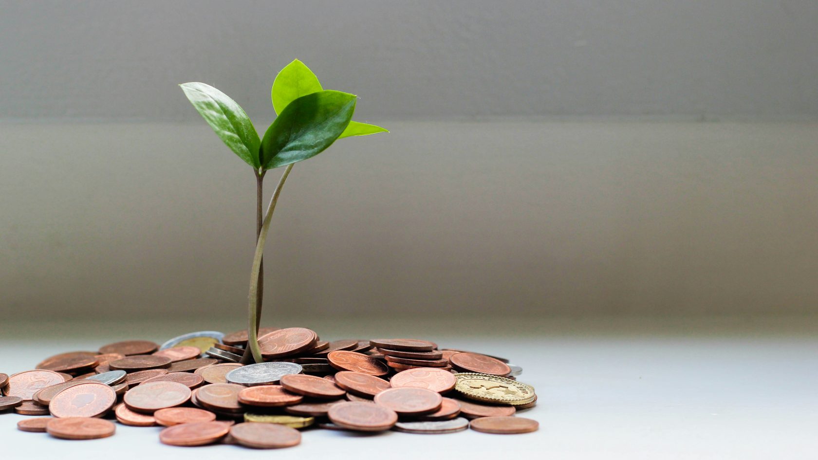 argent soutien financier scaled