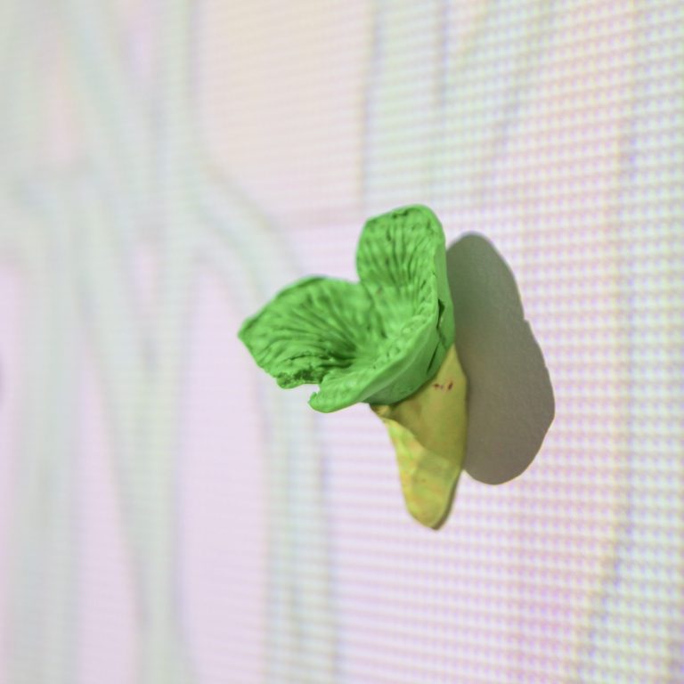 foret hybride heterotrophies marie eve martel culture shawinigan 2 scaled