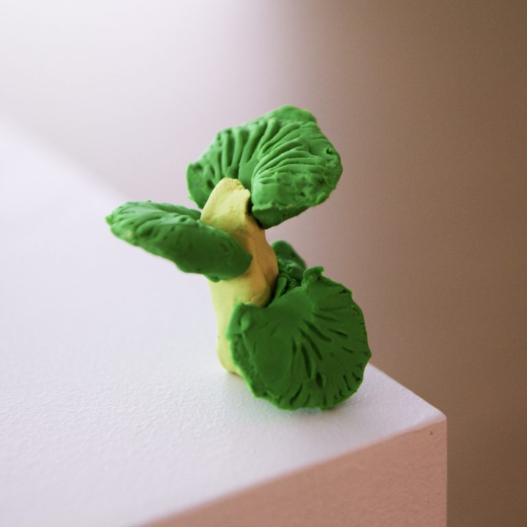 foret hybride heterotrophies marie eve martel culture shawinigan scaled