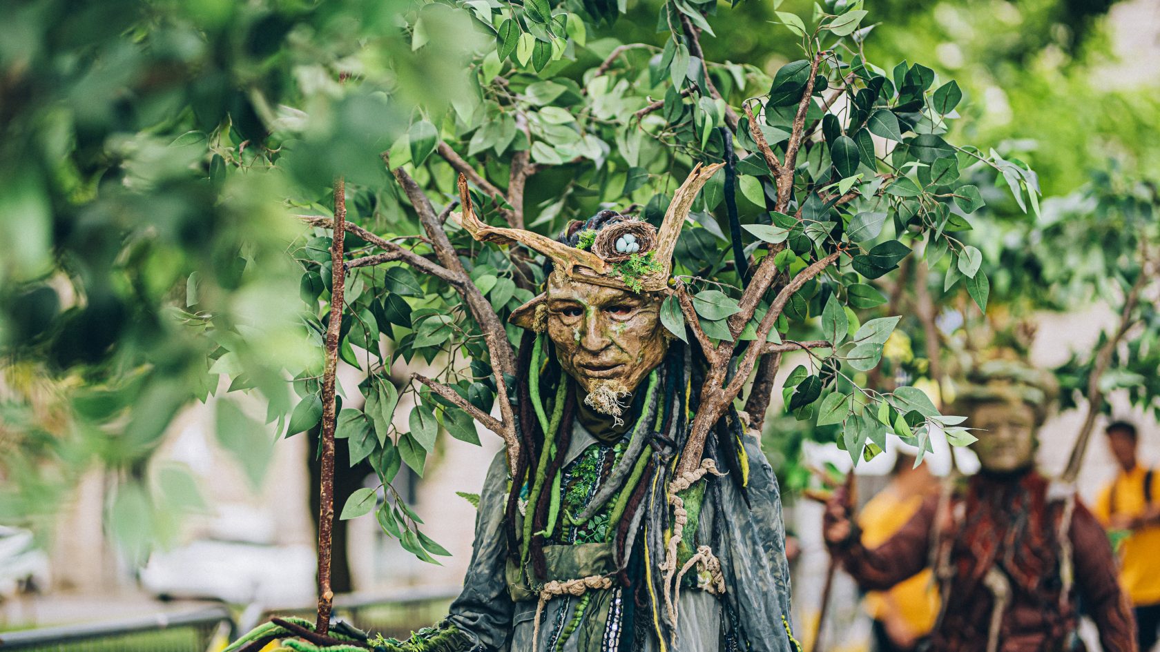le chant de larbre  carolineperronphotographies 1 scaled